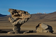 2012-04 Nord CHILI - Nord Ouest ARGENTIN - Sud BOLIVIE